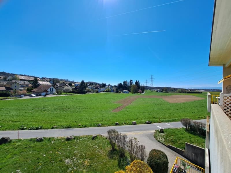 Wohnung mit 4,5 Zimmern (5)