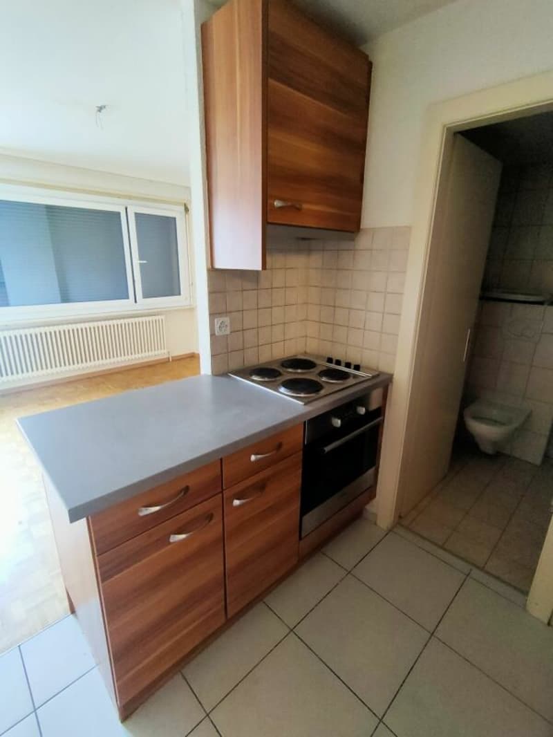 Appartement 1 pce - Yverdon-les-Bains (2)