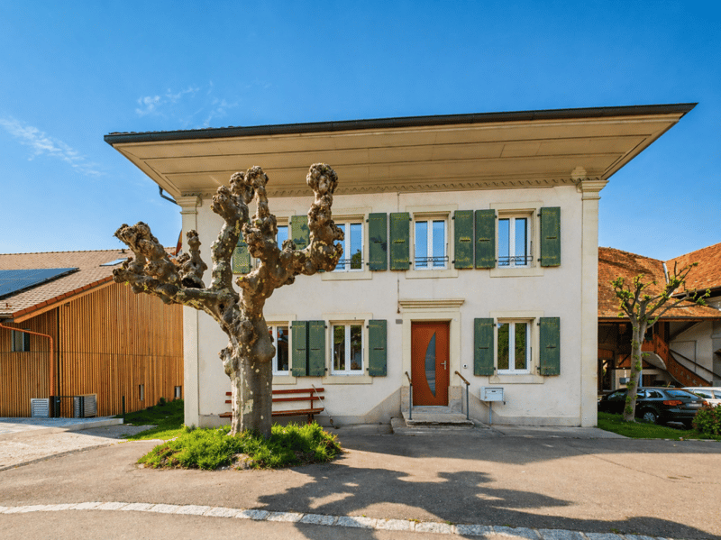 Maison
