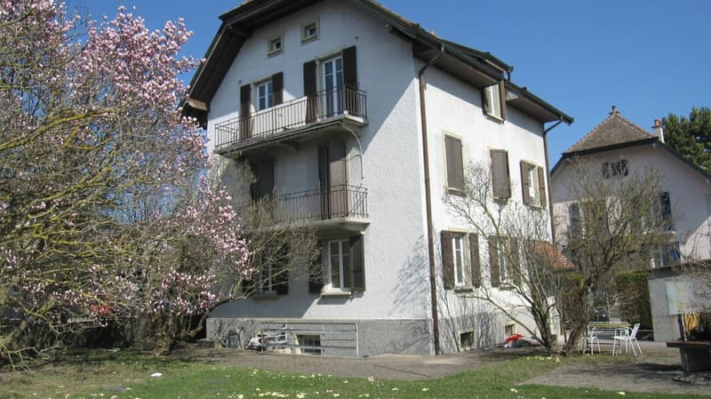 3-room apartment in Yverdon-les-Bains (3)