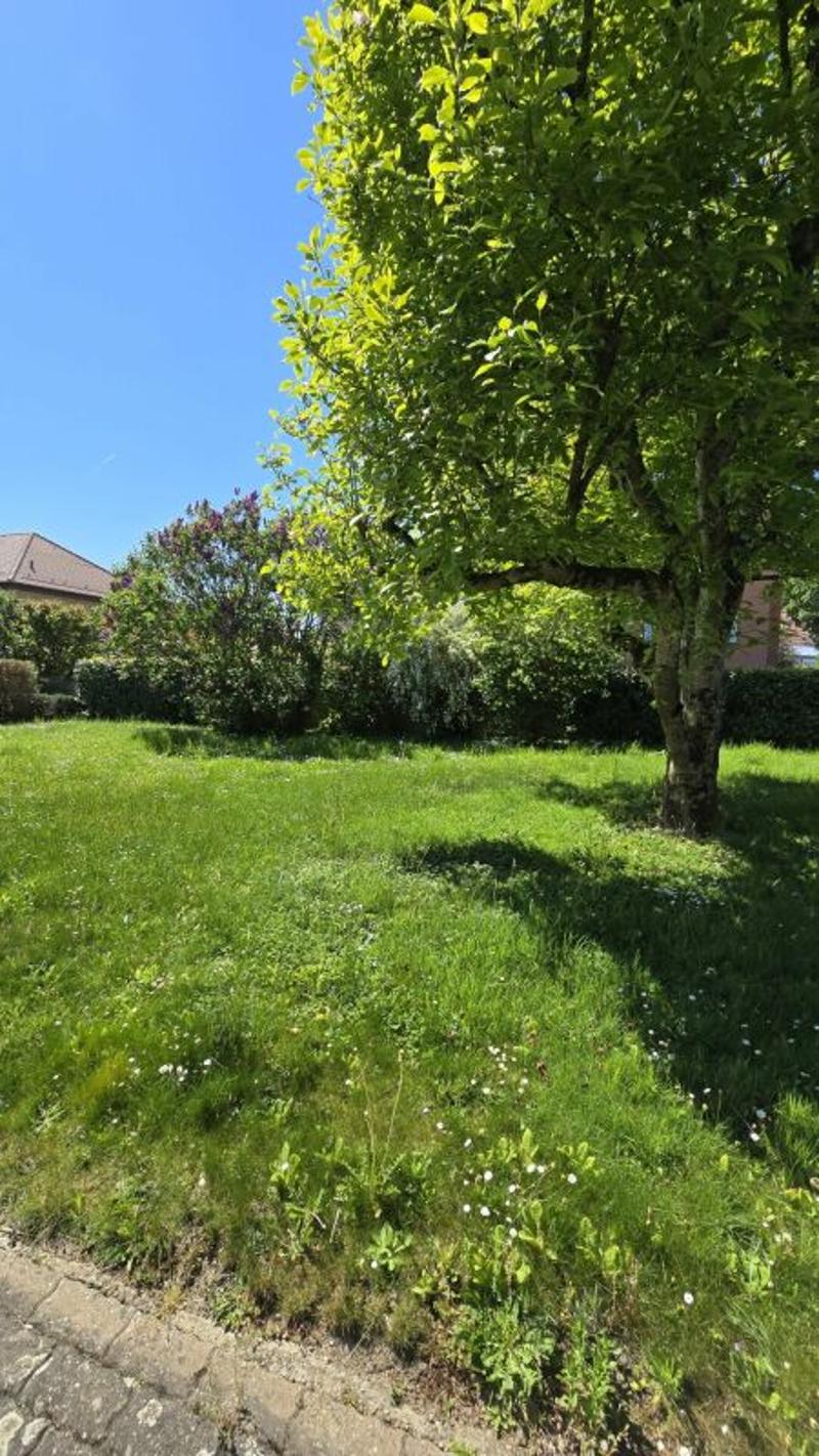 3-room apartment in Yverdon-les-Bains (2)