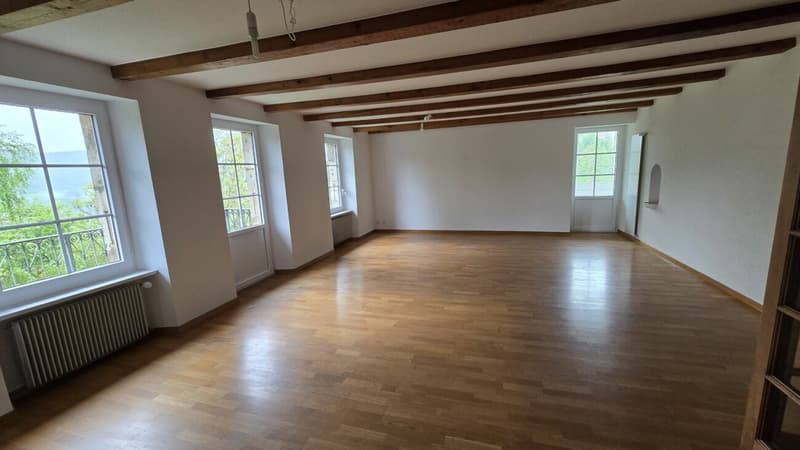 Appartement de 5.5 pièces (4)