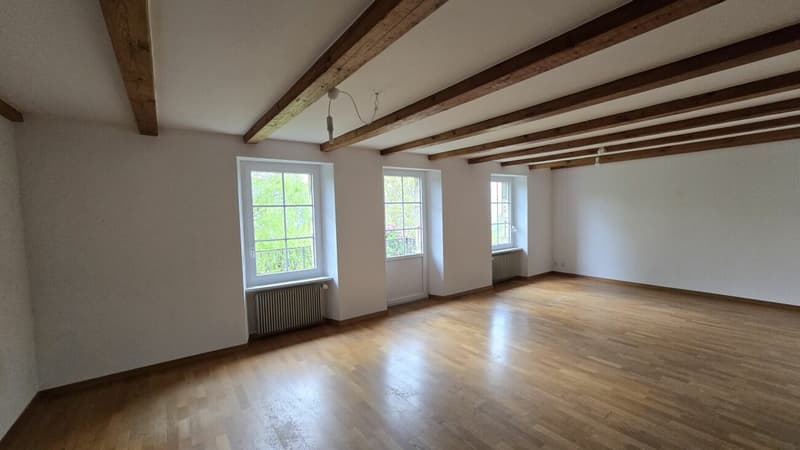 Appartement de 5.5 pièces (3)