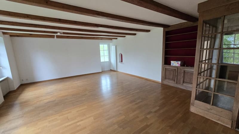 Appartement de 5.5 pièces (2)