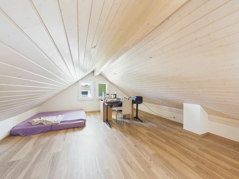 House with 2 apartments (5)