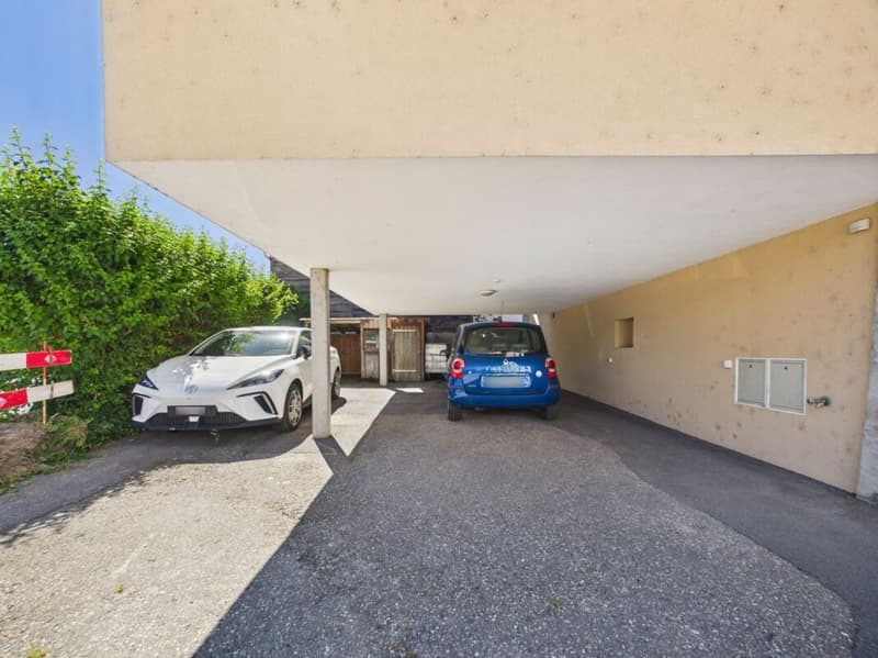 House with 2 apartments (9)