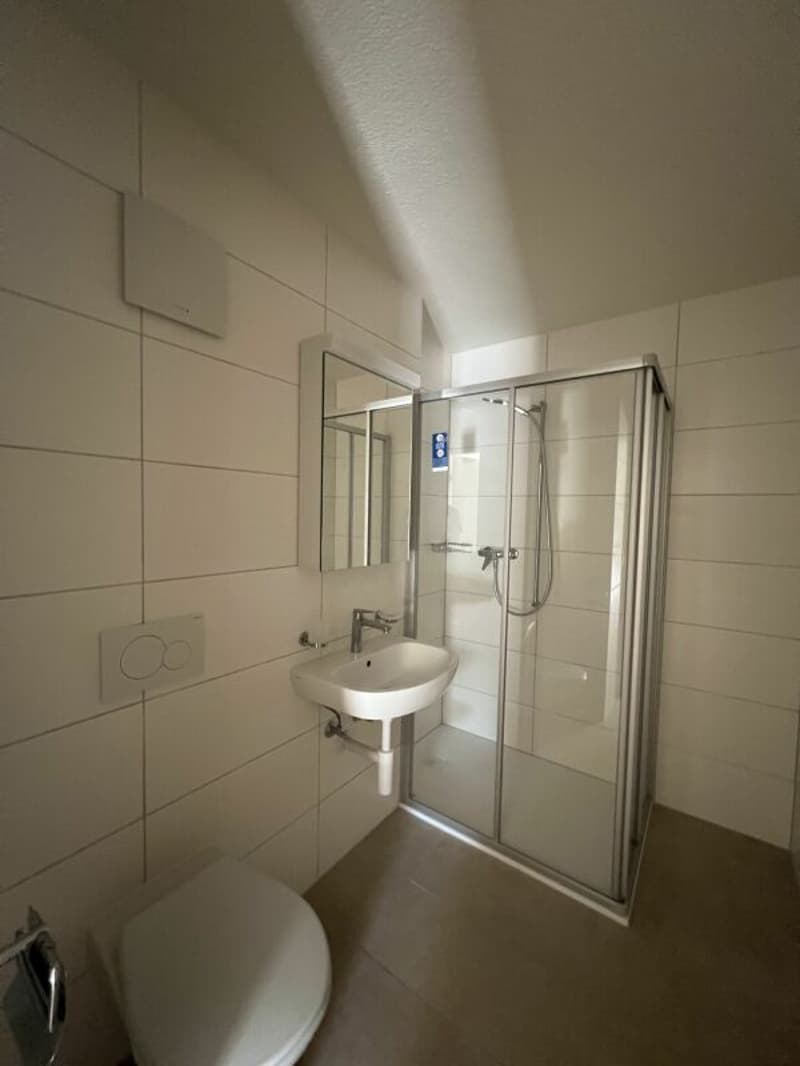 Appartement de 2,5 pièces (5)