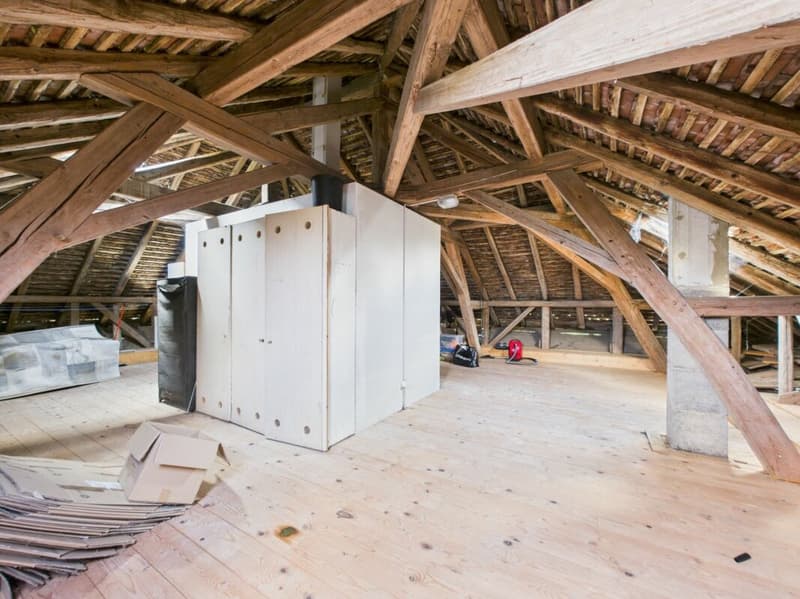 Einfamilienhaus renoviert (8)