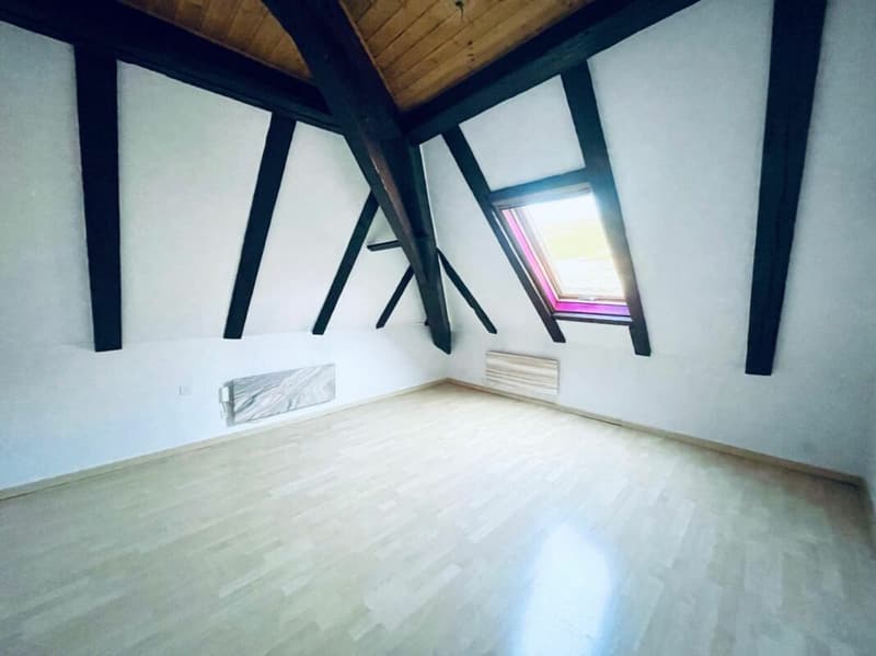Duplex-Wohnung mit 4,5 Zimmern (8)
