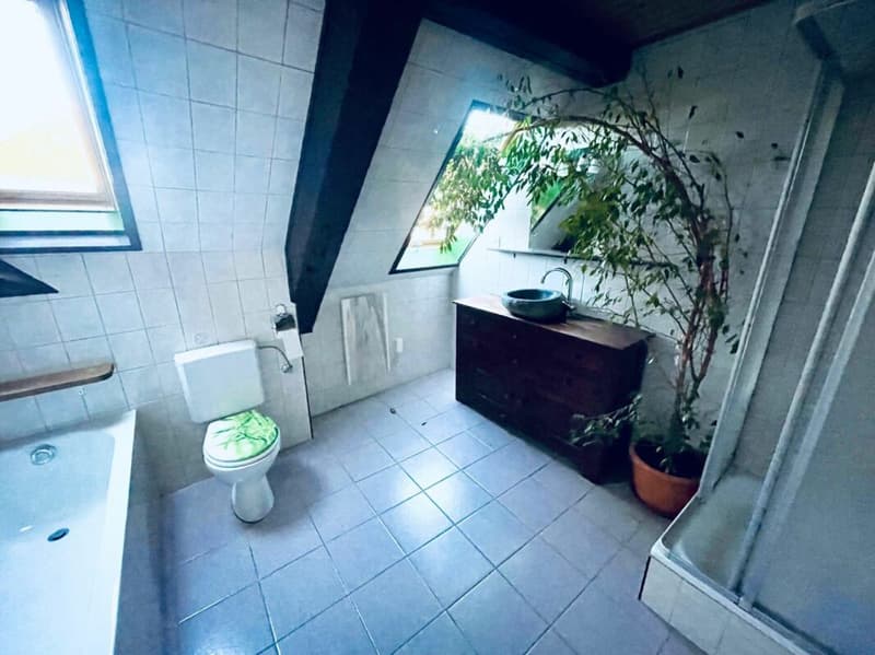 Duplex-Wohnung mit 4,5 Zimmern (10)