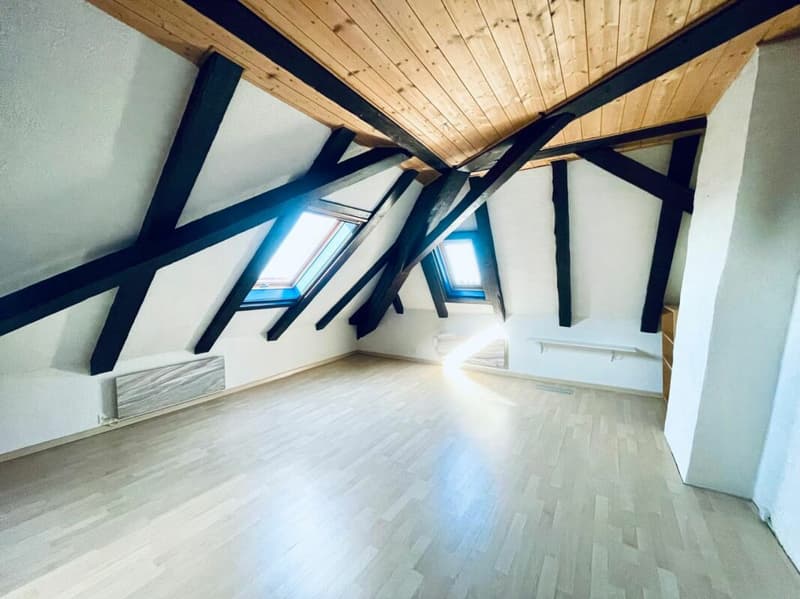 Duplex-Wohnung mit 4,5 Zimmern (11)