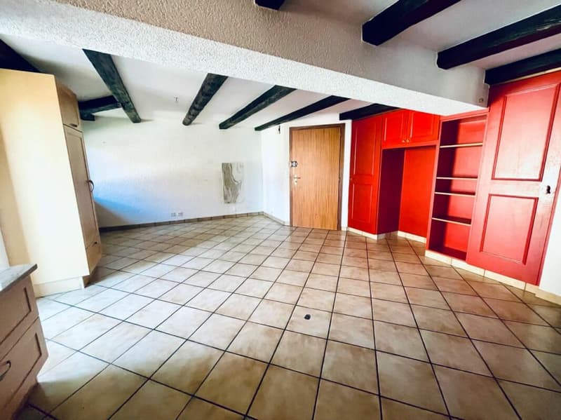 Duplex-Wohnung mit 4,5 Zimmern (4)