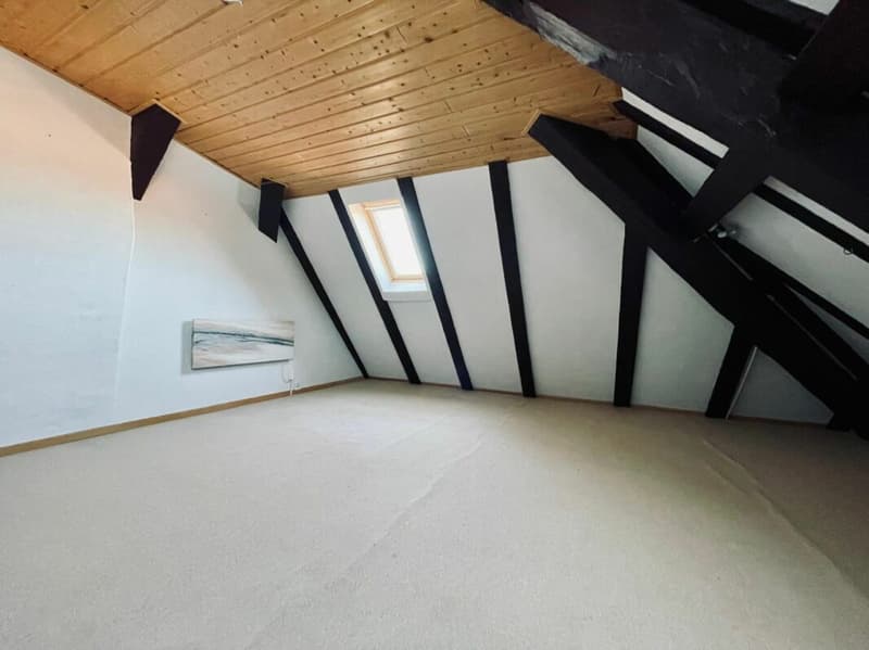Duplex-Wohnung mit 4,5 Zimmern (9)