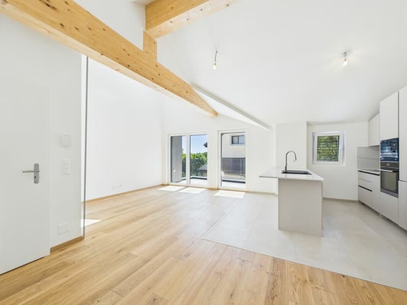 Last apartment available! (1)