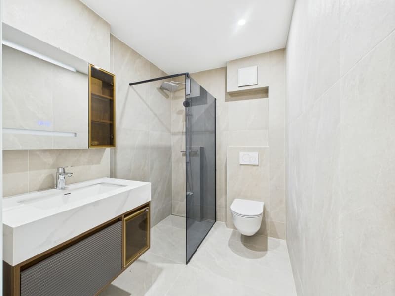 Last apartment available! (8)