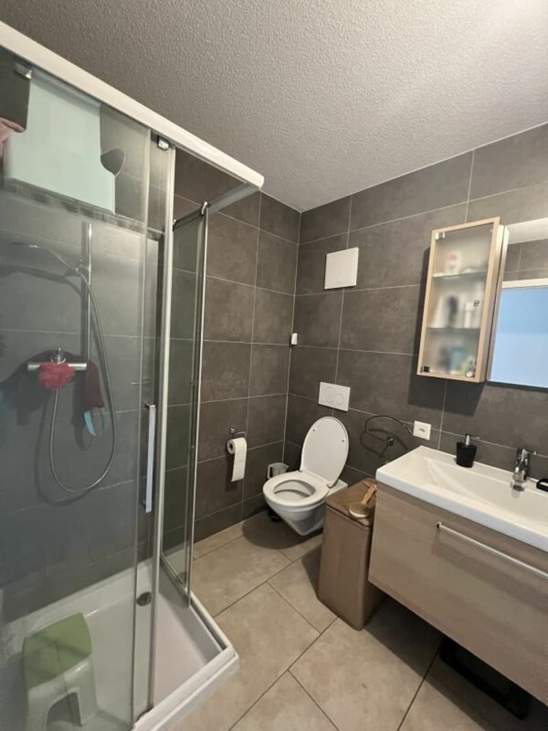 Wohnung mit 3.5 Zimmern (4)