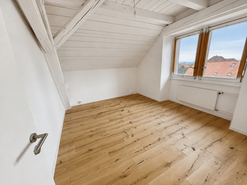Appartement de 5 pièces avec terrasse et jardin (3)