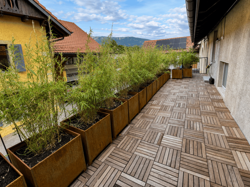 Appartement de 5 pièces avec terrasse et jardin (7)