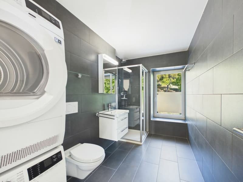 Appartement de 4.5 pièces (8)