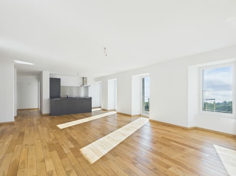 Appartement de 4.5 pièces (2)
