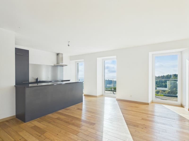 Appartement de 4.5 pièces (1)