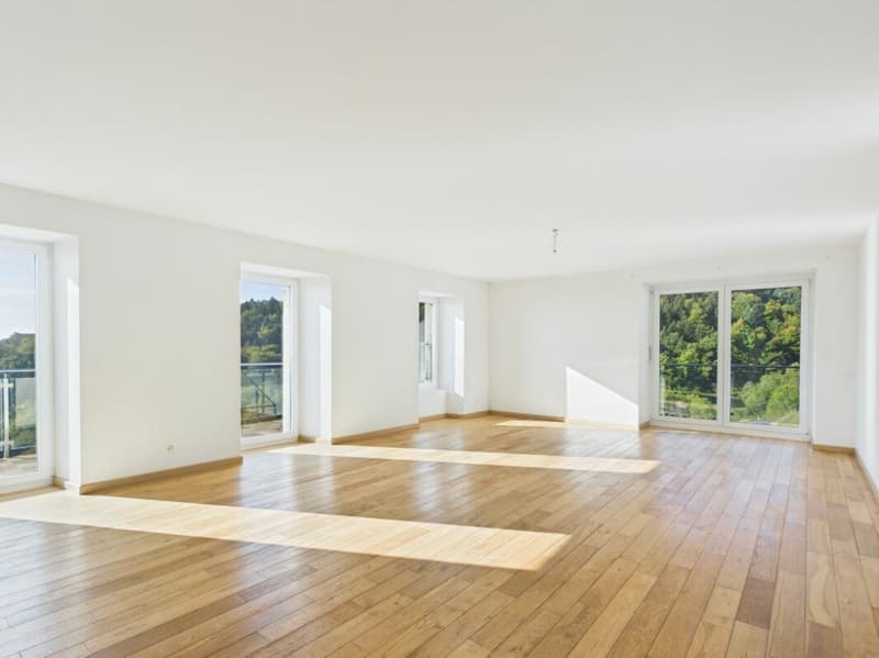 Appartement de 4.5 pièces (4)