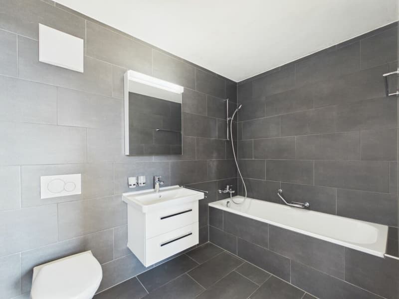 Appartement de 4.5 pièces (7)