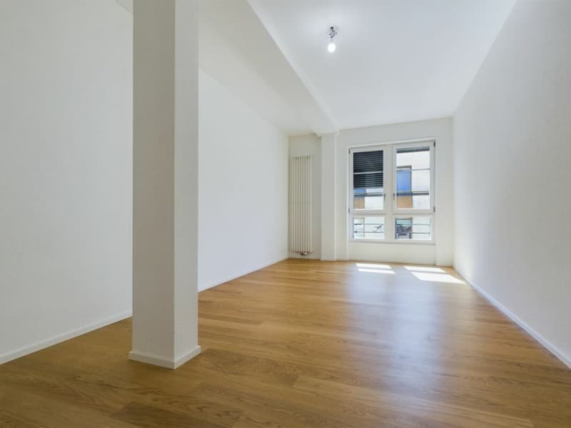 Appartement 3.5 pces - Yverdon-les-Bains (5)