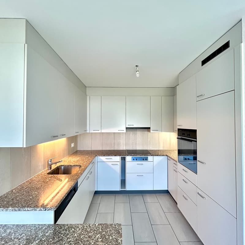 Appartement, 4.5 pièce(s) (9)