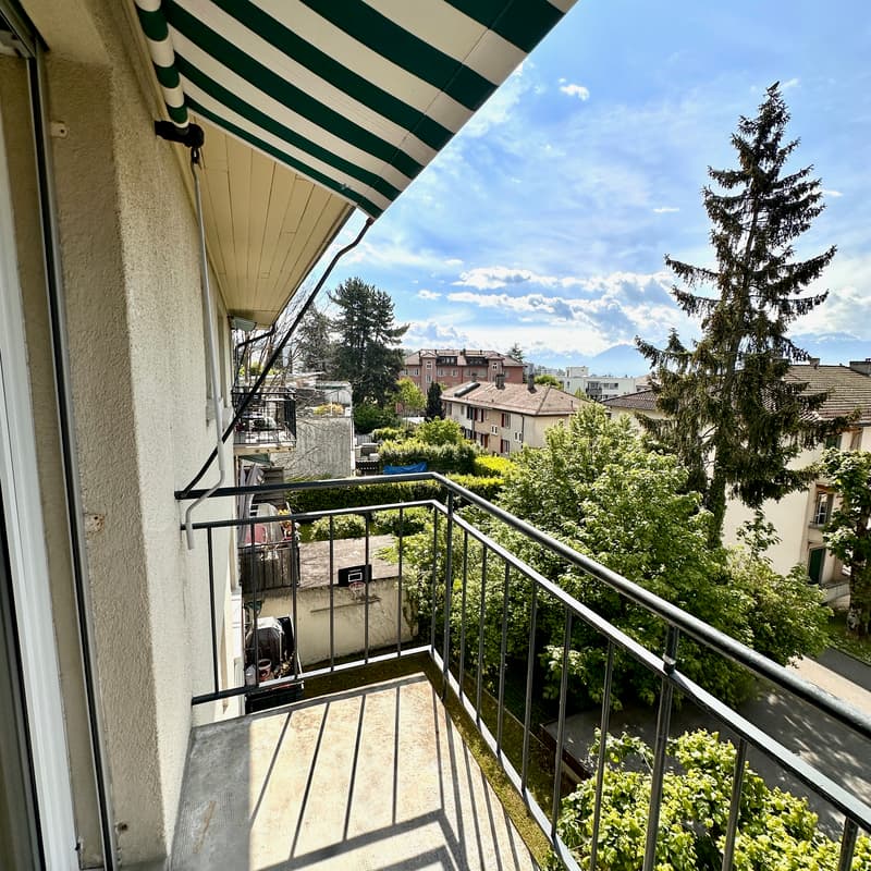 Wohnung, 3.5 Stück (10)