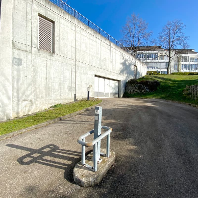 Parco interno (3)