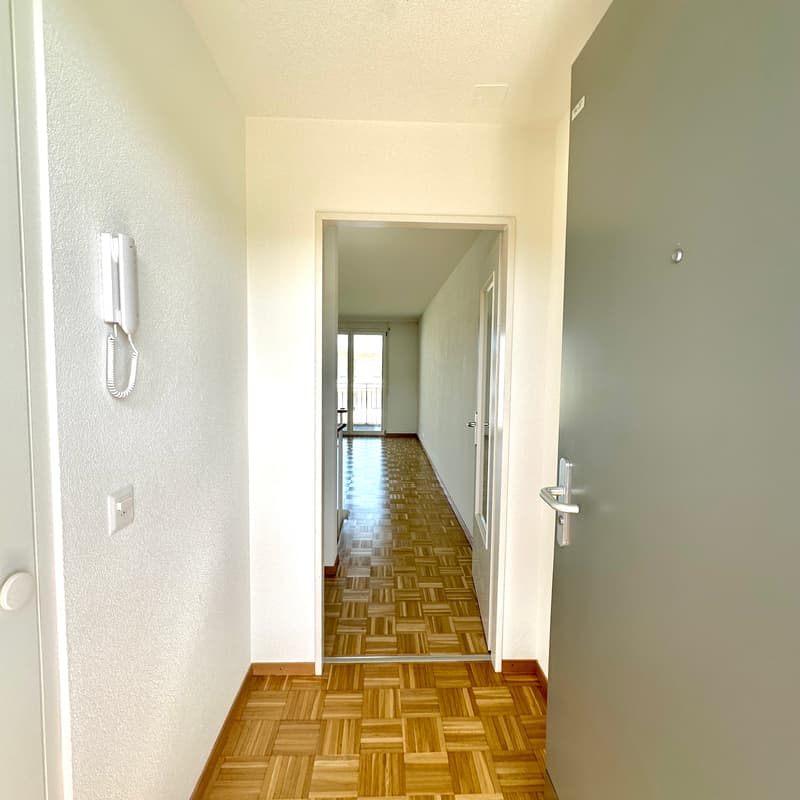 Appartement, 4.5 pièce(s) (2)