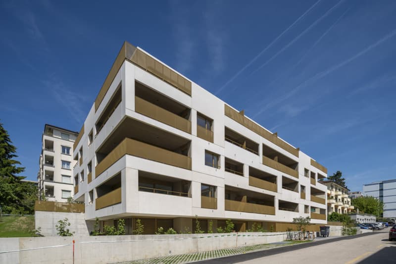 Appartamento, 3.5 locali (5)