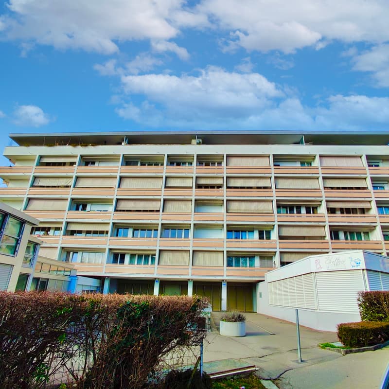 Appartement, 1 pièce(s) (1)