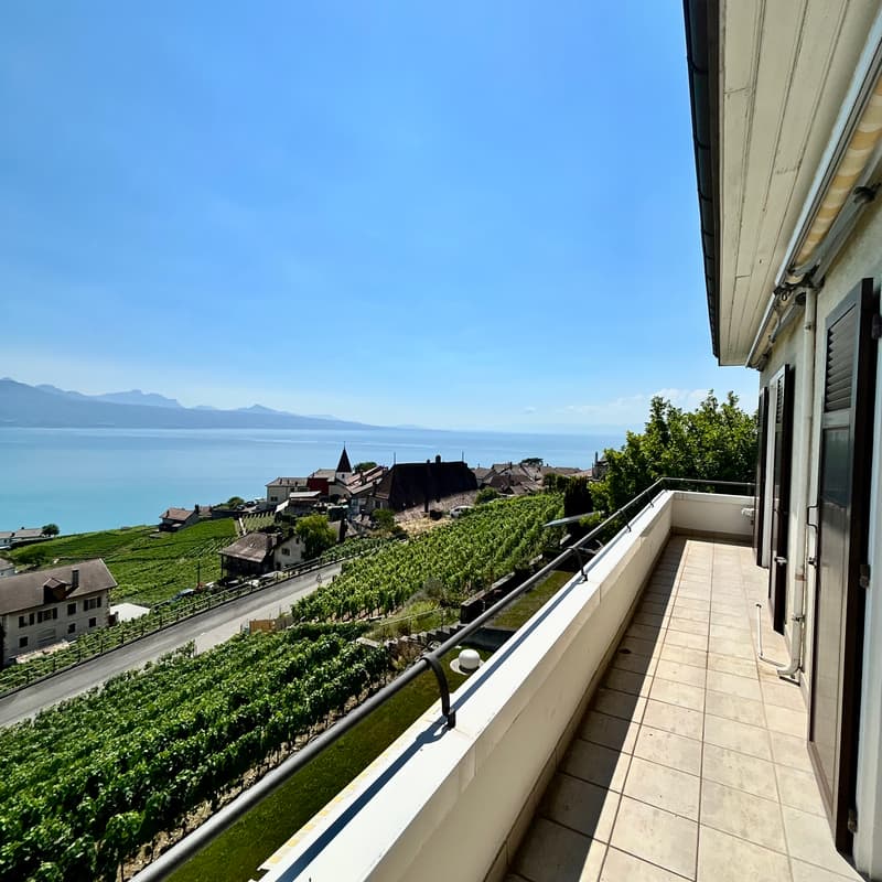 Appartement, 3.5 pièce(s) (10)
