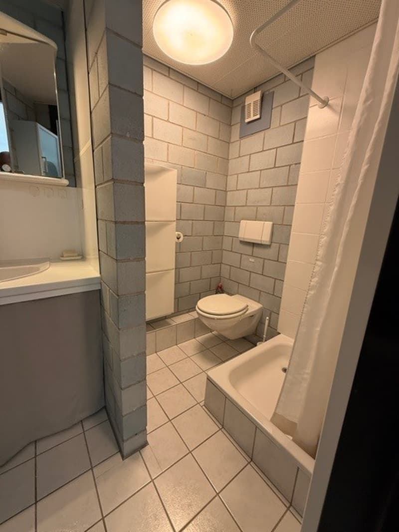 Appartement meublé, 1 pièce(s) (11)