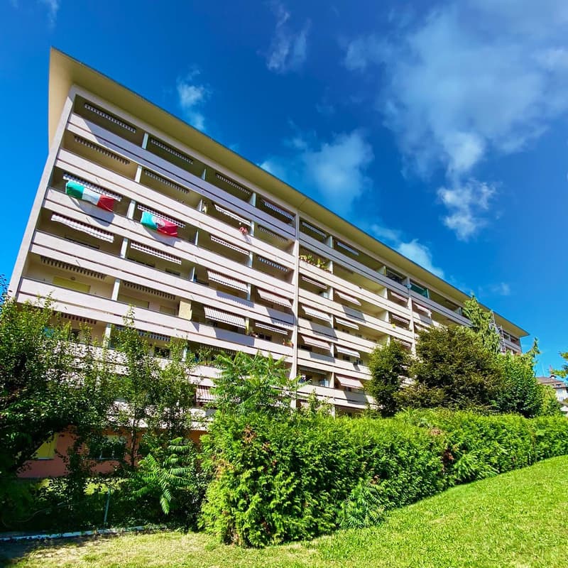 Appartement, 1 pièce(s) (1)