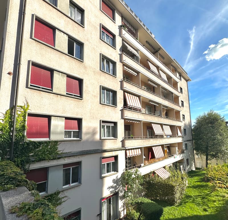 Appartement, 3.5 pièce(s) (1)