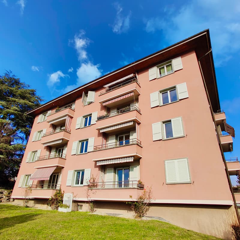 Appartement, 3.5 pièce(s) (1)