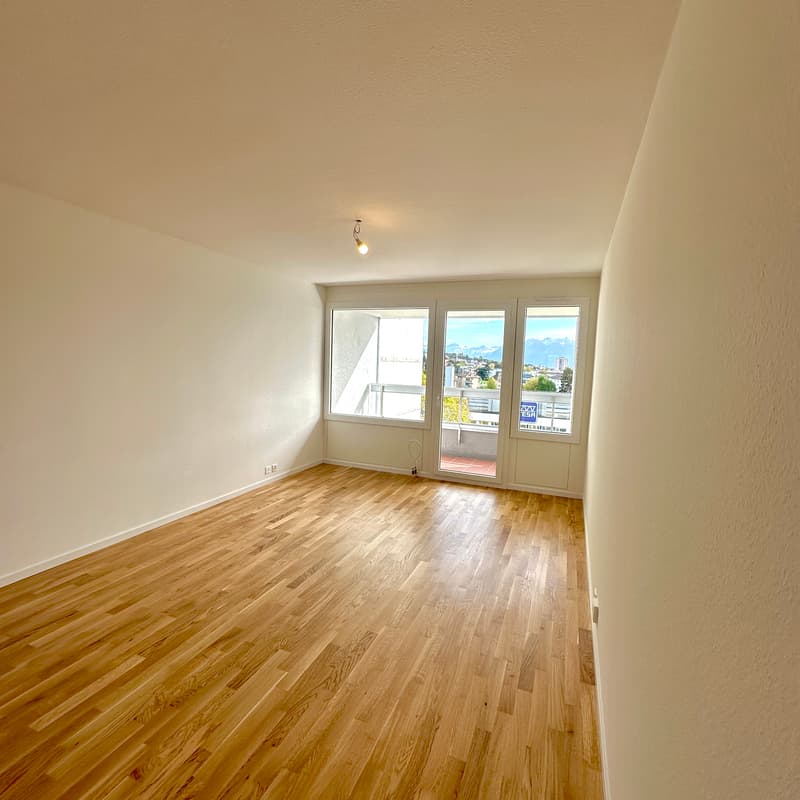 Appartement, 2 pièce(s) (3)
