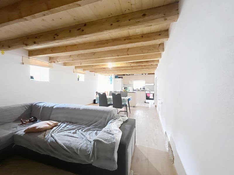 Speciale per investitori | 3,5 locali | Romont (4)