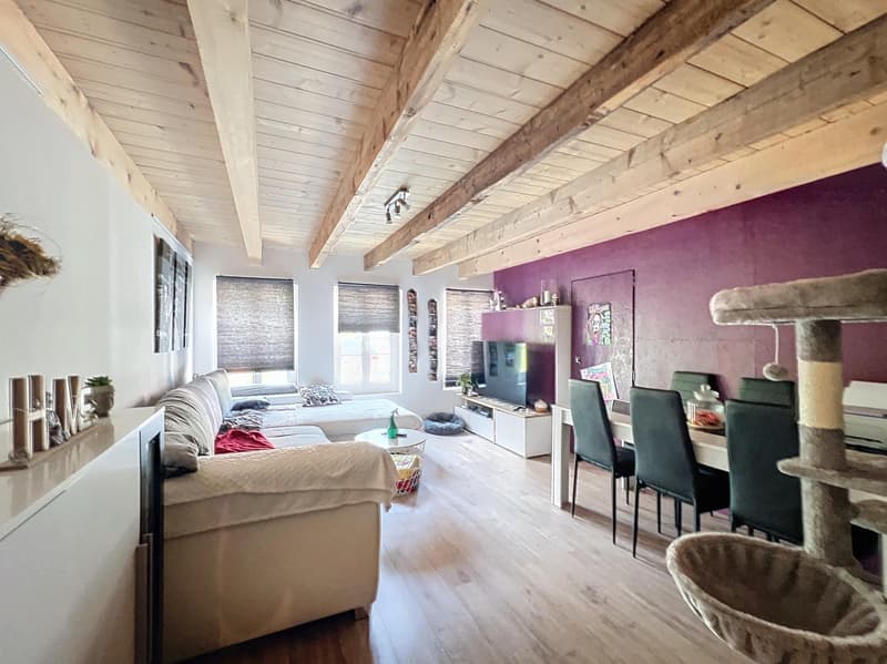 Speciale per investitori | 3,5 locali | Romont (5)
