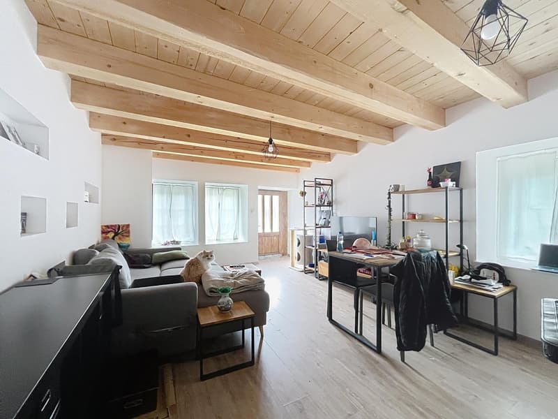 Speciale per investitori | 1,5 locali | Romont (2)