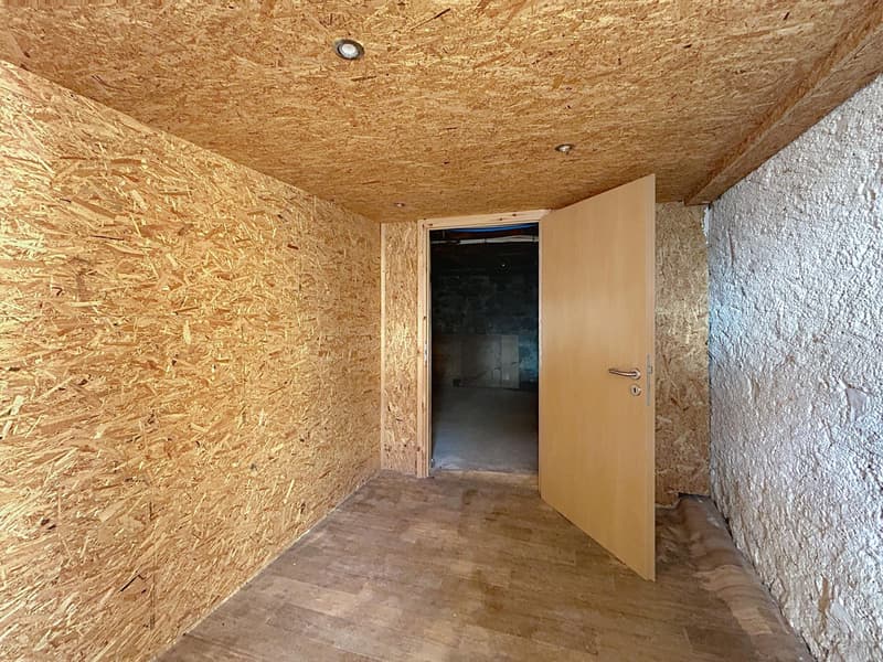 Individual chalet with 5.5 rooms and annex in La Collombaz (6)