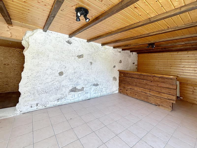 Individual chalet with 5.5 rooms and annex in La Collombaz (3)