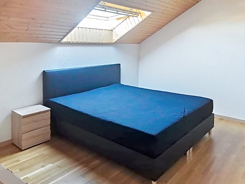 5.5 rooms | For Investor (6)