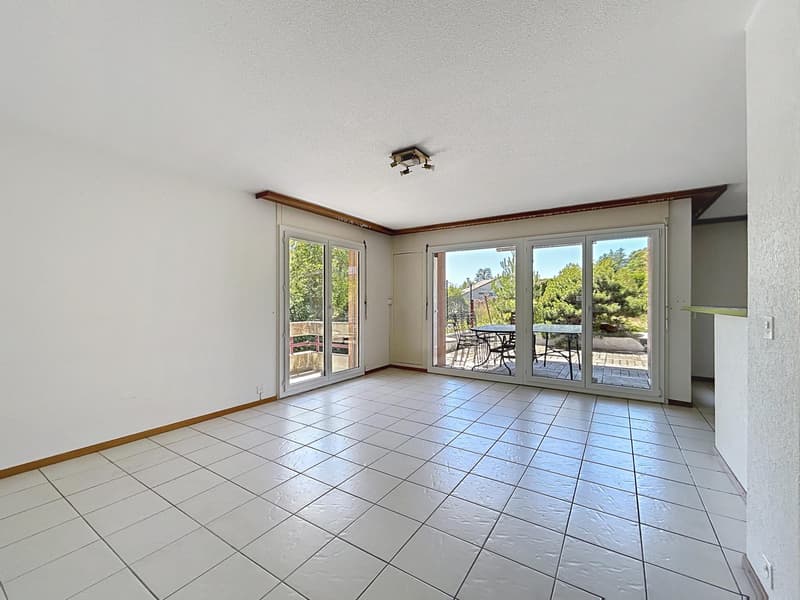 5,5 locali in zona tranquilla | Terrazzo 100m2 | Savigny (5)