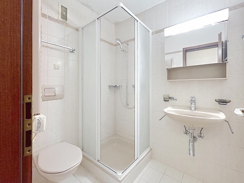 5,5 locali in zona tranquilla | Terrazzo 100m2 | Savigny (11)