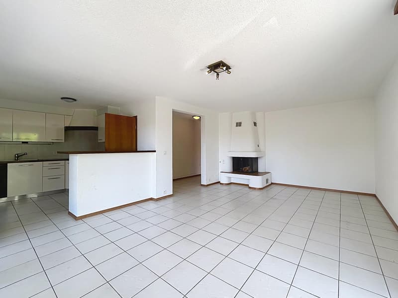 5,5 locali in zona tranquilla | Terrazzo 100m2 | Savigny (4)