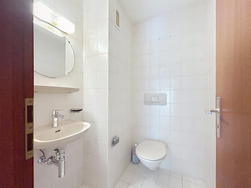 5,5 locali in zona tranquilla | Terrazzo 100m2 | Savigny (7)